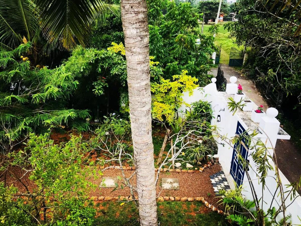 Sriyan Villa ベールワラ エクステリア 写真