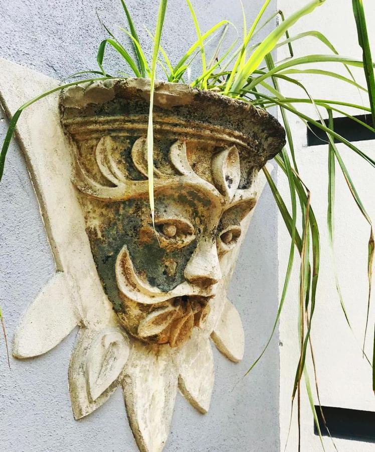 Sriyan Villa ベールワラ エクステリア 写真