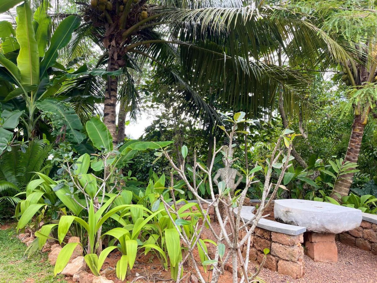 Sriyan Villa ベールワラ エクステリア 写真