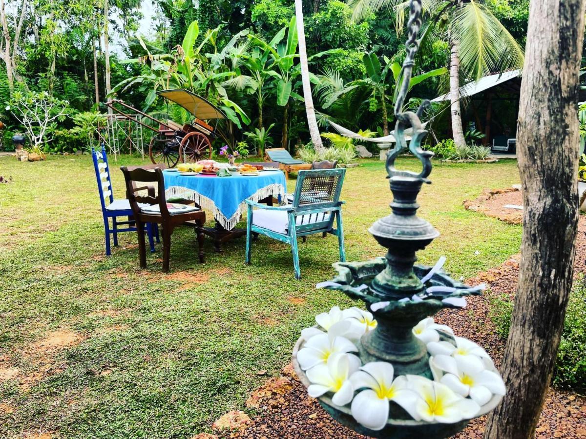 Sriyan Villa ベールワラ エクステリア 写真