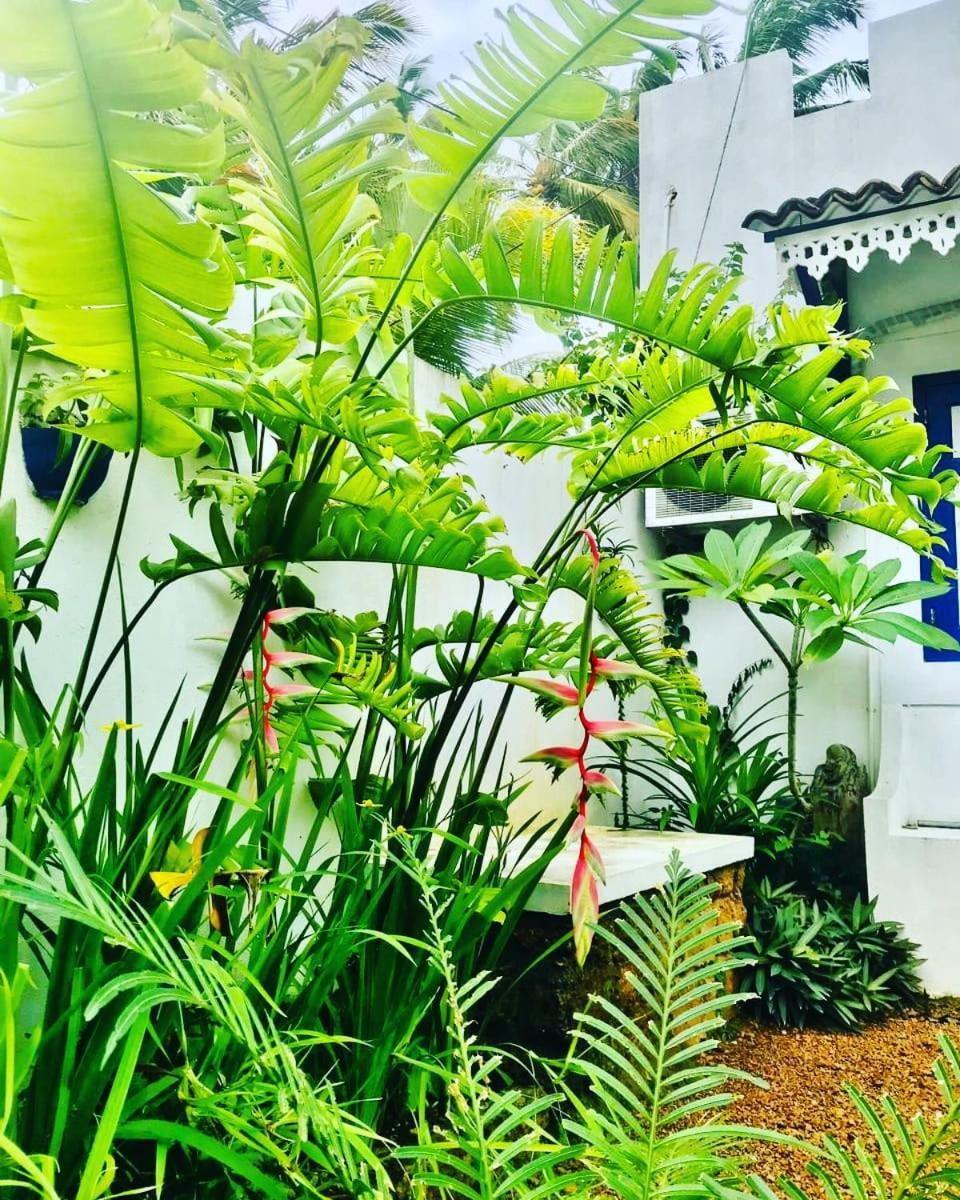 Sriyan Villa ベールワラ エクステリア 写真